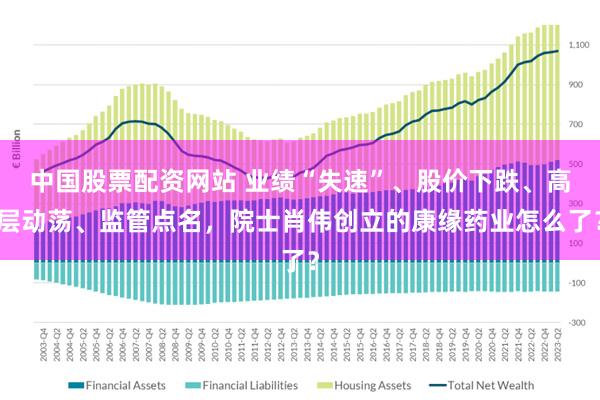 中国股票配资网站 业绩“失速”、股价下跌、高层动荡、监管点名，院士肖伟创立的康缘药业怎么了？