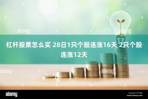 杠杆股票怎么买 28日1只个股连涨16天 2只个股连涨12天