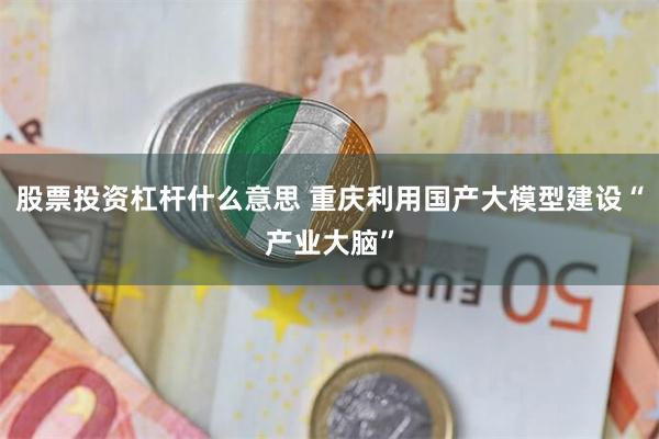 股票投资杠杆什么意思 重庆利用国产大模型建设“产业大脑”